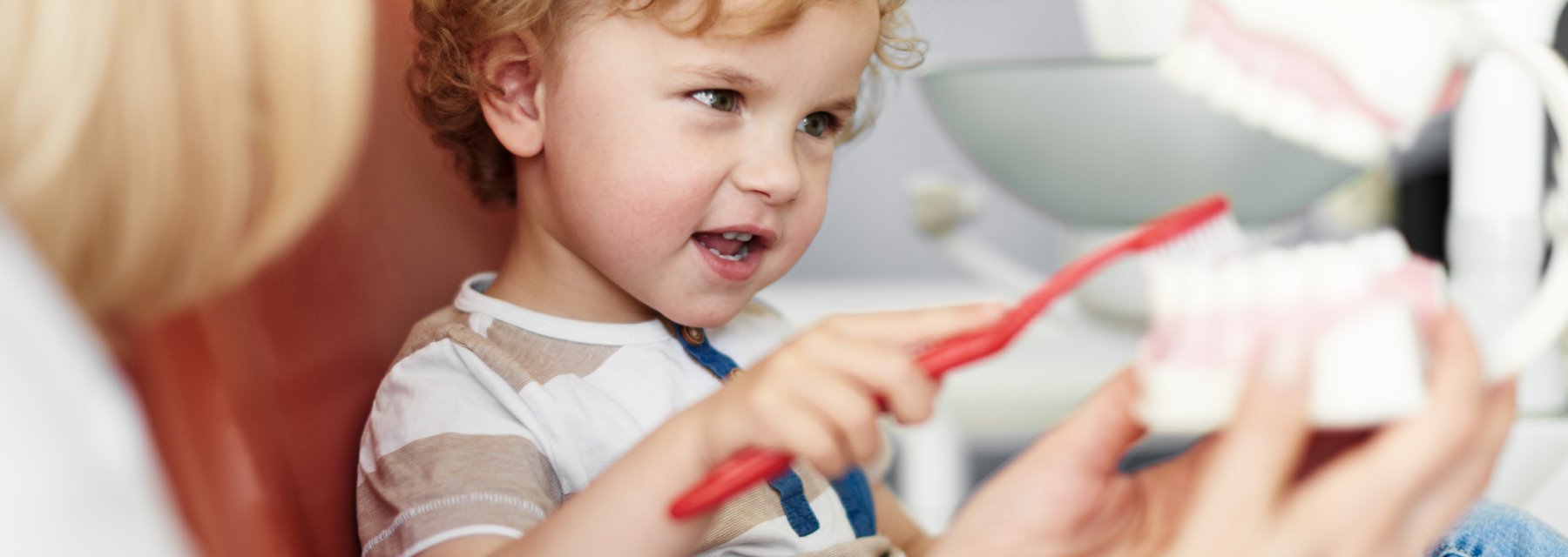 Teeth Info at Pediatric Dentist, Columbus, Georgia